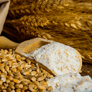 Grain Milling