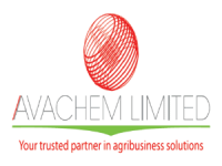 Avachem Limited